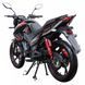 Дорожній мотоцикл Spark SP 200 R-27 Black DTZ11-BLACK фото 4