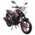 Дорожній мотоцикл Spark SP 200 R-27 Mix DTZ11-MIX фото