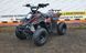 Дитячий квадроцикл ATV 110 Classic Black 110-2 black фото 1