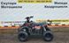 Дитячий квадроцикл ATV 110 Classic Black 110-2 black фото 6