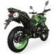 Кроссовый мотоцикл Tekken 250 Green 26262 фото 3