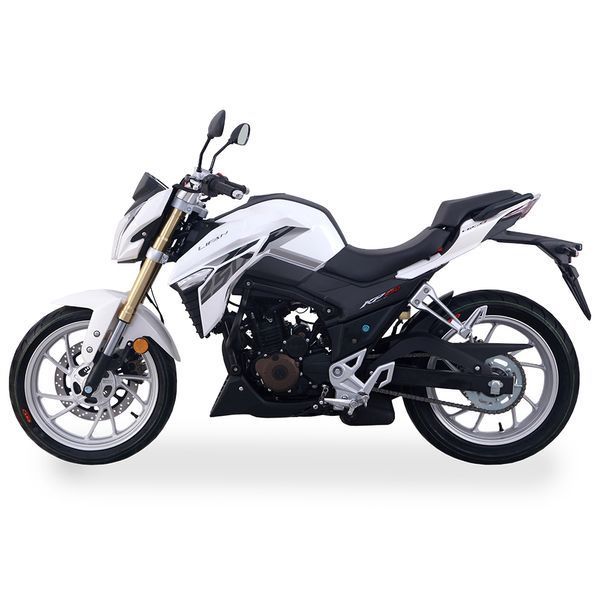 Дорожній мотоцикл Lifan KP 250 White 7855 фото