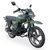 Мопед Musstang МТ 125 Dingo XL Green musstand-dingo-xl-green фото